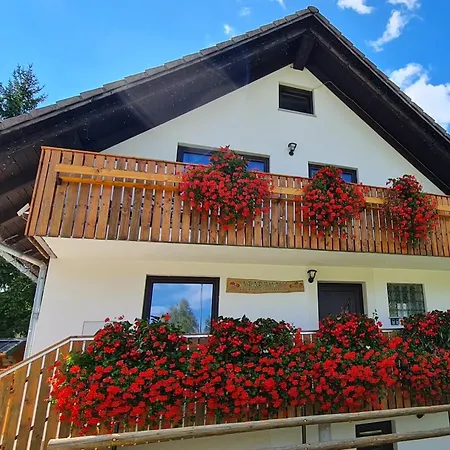 Apartmaji Gaby アパート *